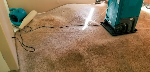 Carpet Water Extraction in Silver Spring